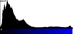 Blue Histogram