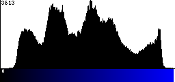 Blue Histogram