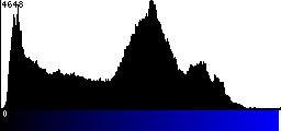 Blue Histogram