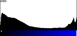 Blue Histogram