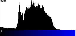 Blue Histogram
