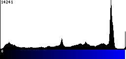 Blue Histogram