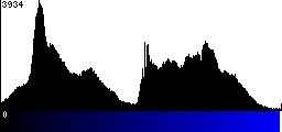 Blue Histogram