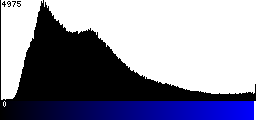 Blue Histogram