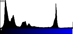 Blue Histogram