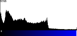 Blue Histogram