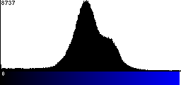 Blue Histogram