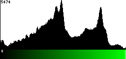 Green Histogram