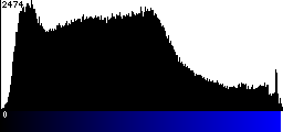 Blue Histogram