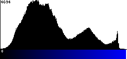 Blue Histogram