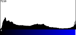 Blue Histogram