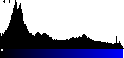 Blue Histogram