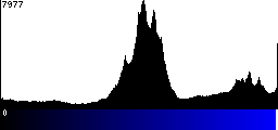 Blue Histogram