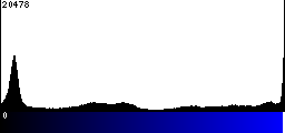 Blue Histogram