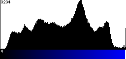 Blue Histogram