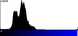 Blue Histogram