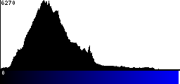 Blue Histogram