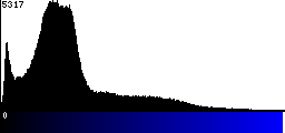 Blue Histogram