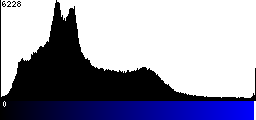 Blue Histogram