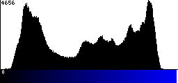 Blue Histogram