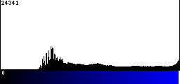 Blue Histogram