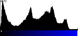 Blue Histogram