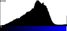 Blue Histogram