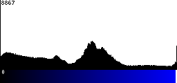 Blue Histogram