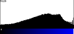 Blue Histogram