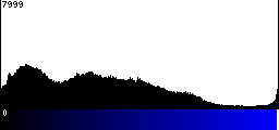 Blue Histogram