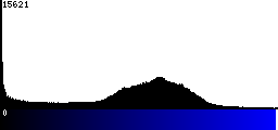 Blue Histogram