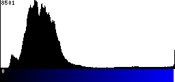 Blue Histogram