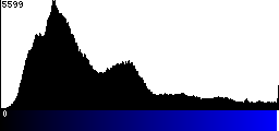 Blue Histogram