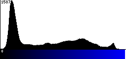 Blue Histogram