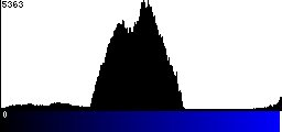 Blue Histogram