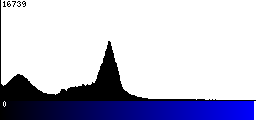 Blue Histogram