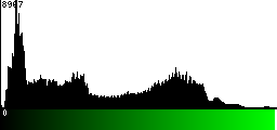 Green Histogram
