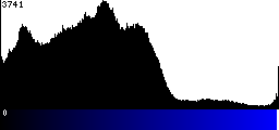 Blue Histogram