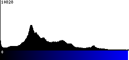 Blue Histogram