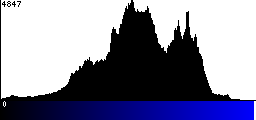 Blue Histogram