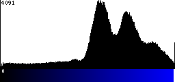 Blue Histogram