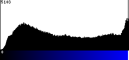 Blue Histogram