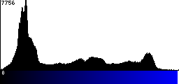 Blue Histogram
