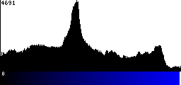 Blue Histogram