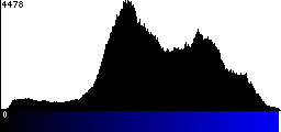 Blue Histogram