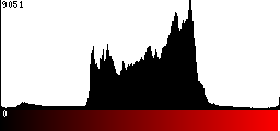Red Histogram