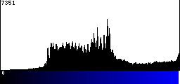 Blue Histogram