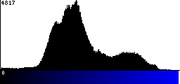 Blue Histogram