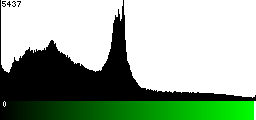 Green Histogram