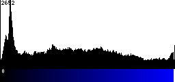Blue Histogram
